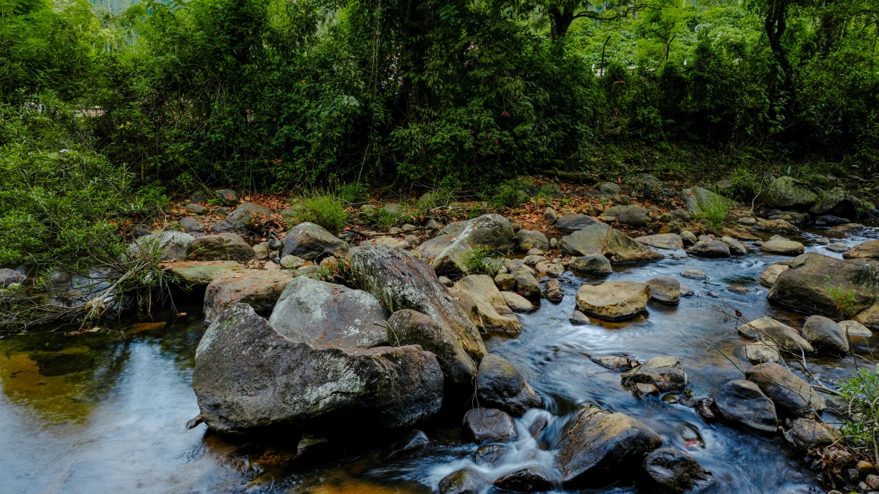 luxury villas in wayanad